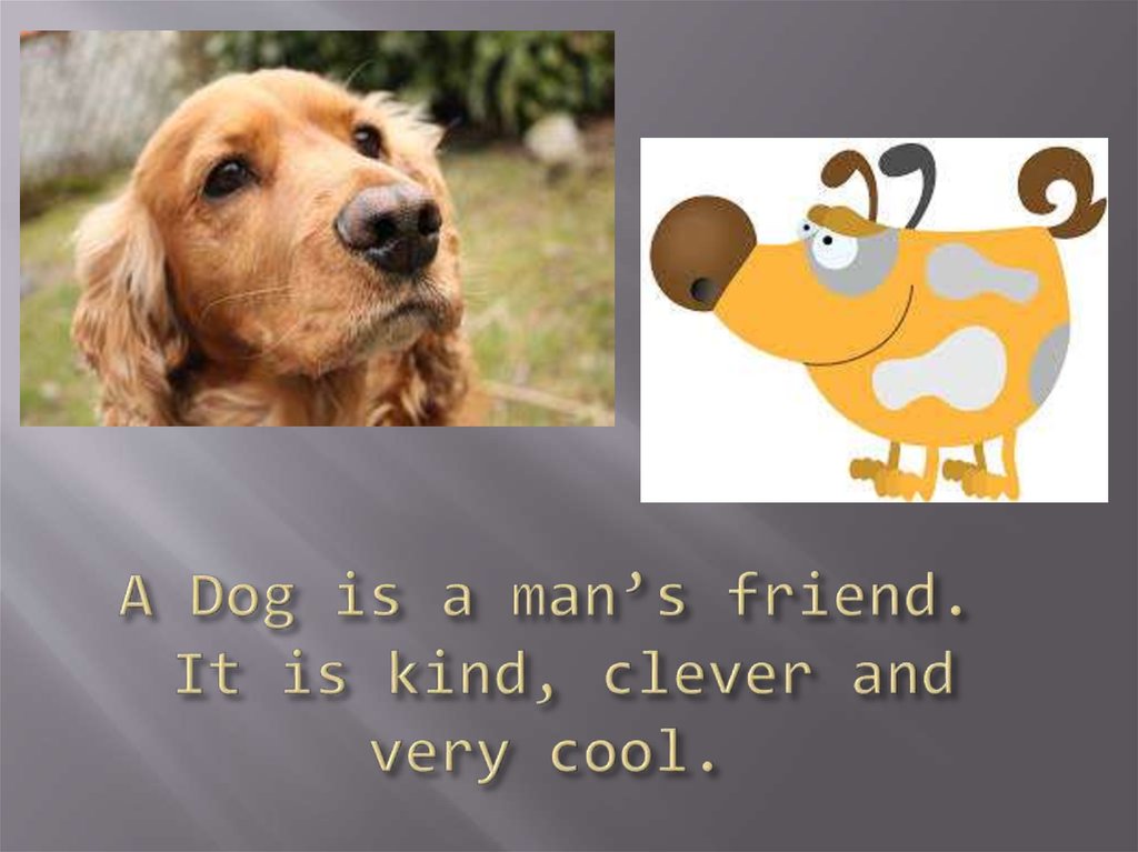 A Dog is a man’s friend. It is kind, clever and very cool.
