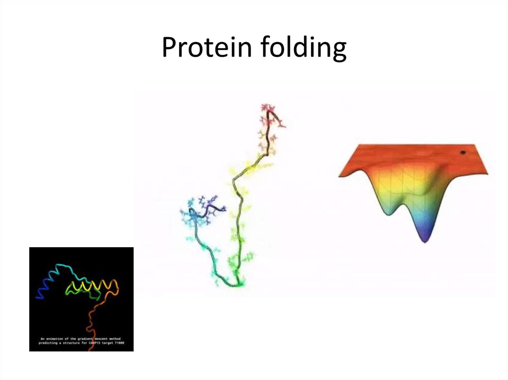 Фолдинг белка