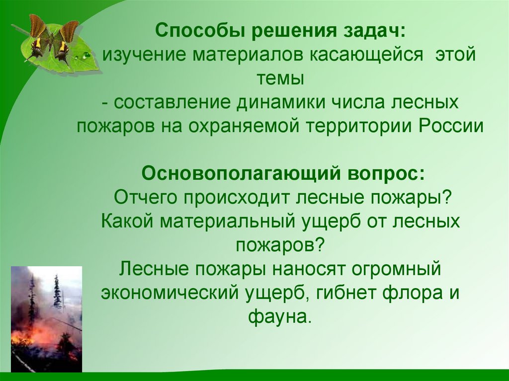 Лесной способ. Пути решения лесных пожаров. Пожары решение проблемы. Решение проблемы лесных пожаров. Пути решения пожаров в лесу.