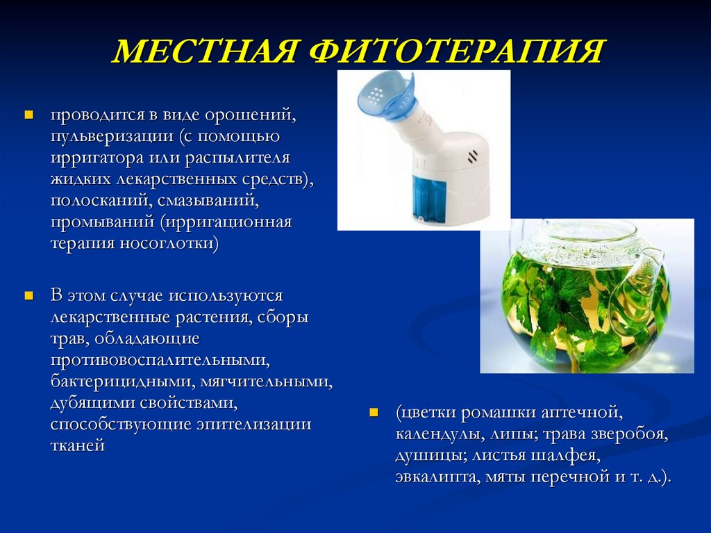 Запахи которые лечат фитотерапия проект по химии