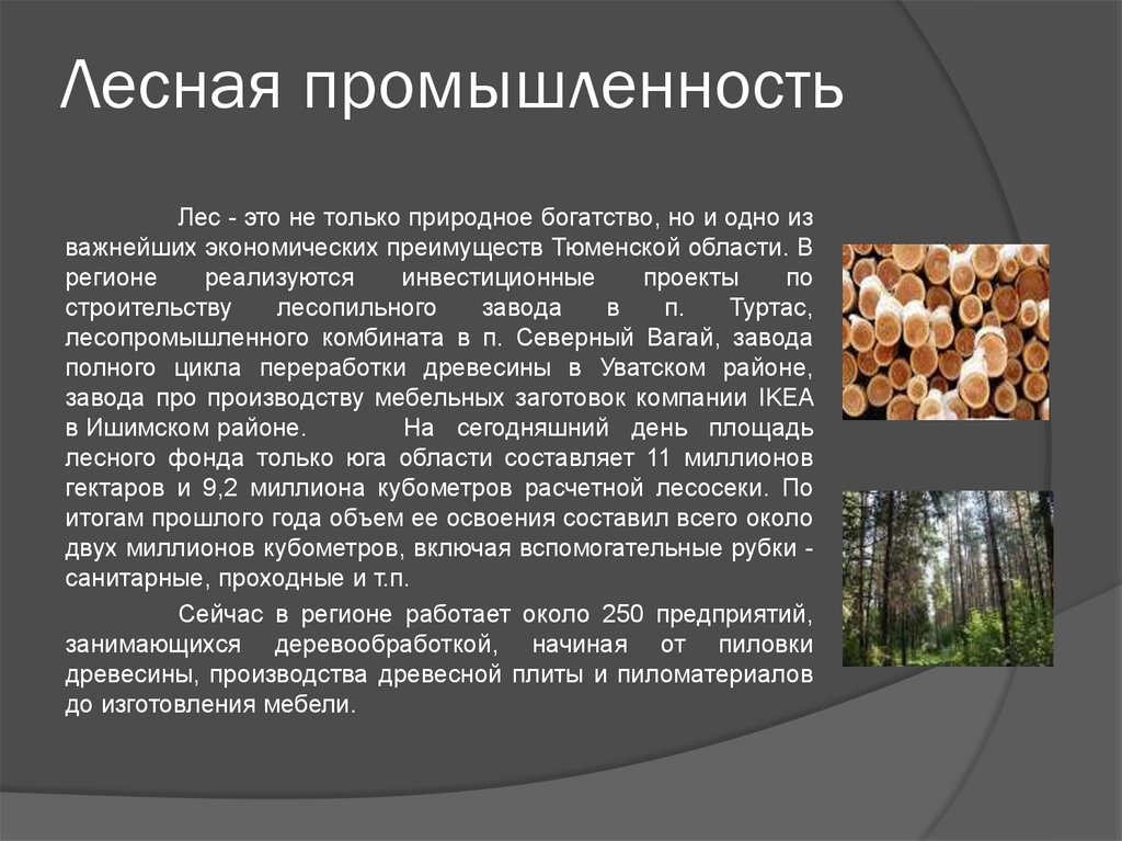Природные богатства предложение. Лесная промышленность. Отрасли Лесной промышленности. Лесная промышленность доклад. Лесная промышленность презентация.
