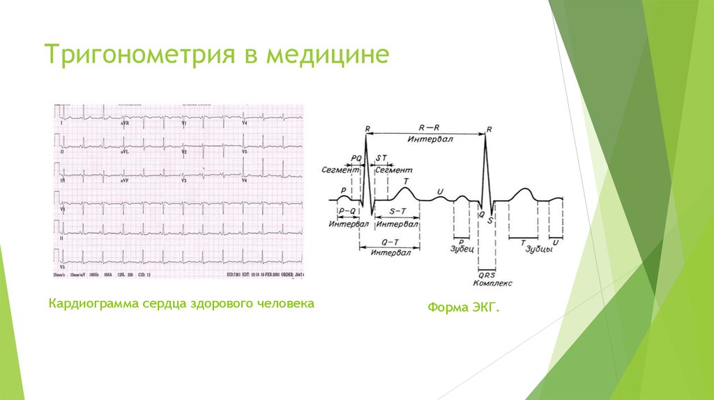 Тригонометрия в природе презентация