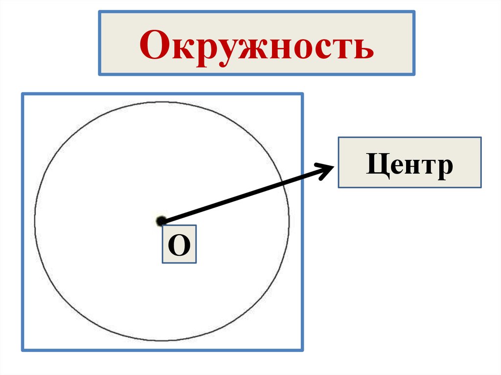 Окружность и круг 5 класс. Центр окружности. Окружность центр окружности. Центр окружности крага. Круг с центром.