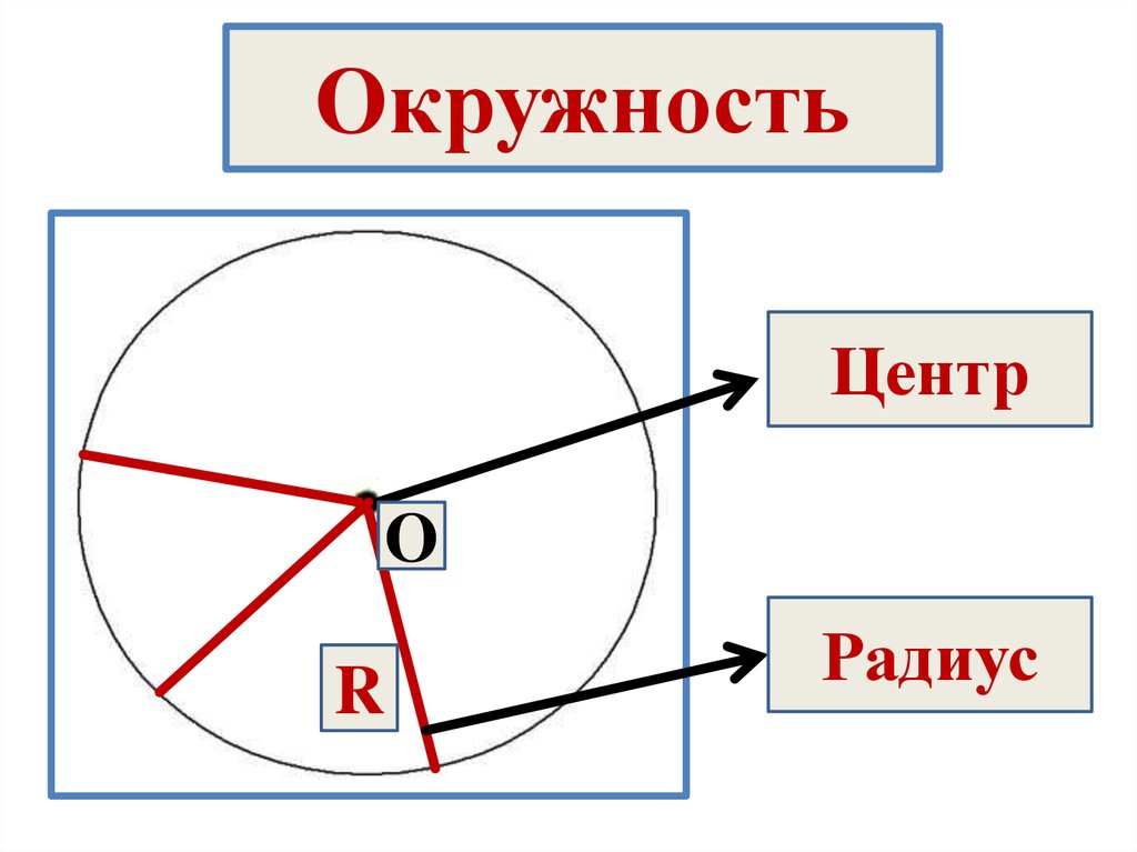 Круг окружность центр радиус. Окружность. Изображение окружности. Центр окружности. Круг с центром.