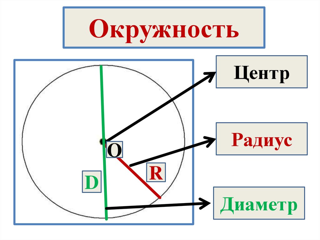 Центр радиус диаметр окружности. Окружность. Центр окружности. Круг окружность центр радиус диаметр. Окружность центр радиус диаметр.