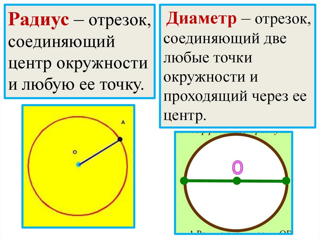 Дайте определение окружности диаметра и радиуса. Радиус и диаметр круга. Центр и радиус окружности. Радиус окружности. Радиус и диаметр окружности 3 класс.