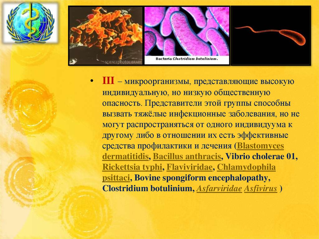 Три организма относящимся к бактериям. Первая степень патогенности микроорганизмов. Вирусы первой группы патогенности. Патогенные микроорганизмы возбудители. Микроорганизмы представлены.
