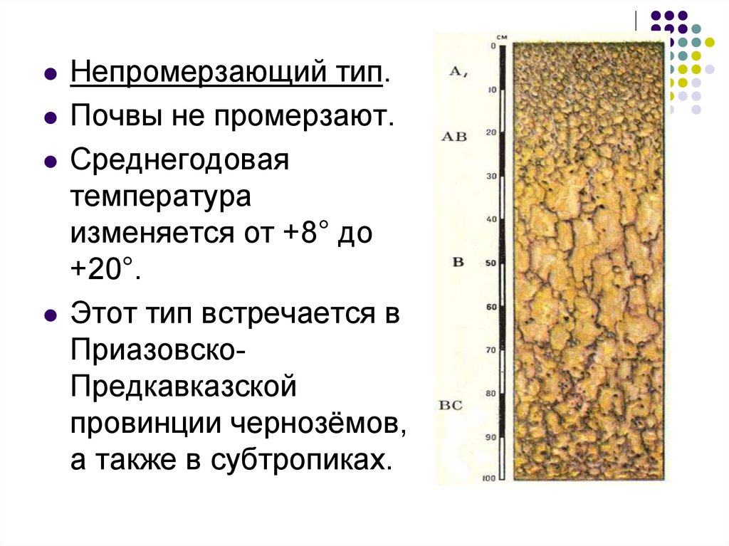 Какую толщину может достигать почва. Тепловой режим почв типы теплового режима почв. Температура черноземных почв. Черноземы почвы условия образования. Черноземы почвы температура.