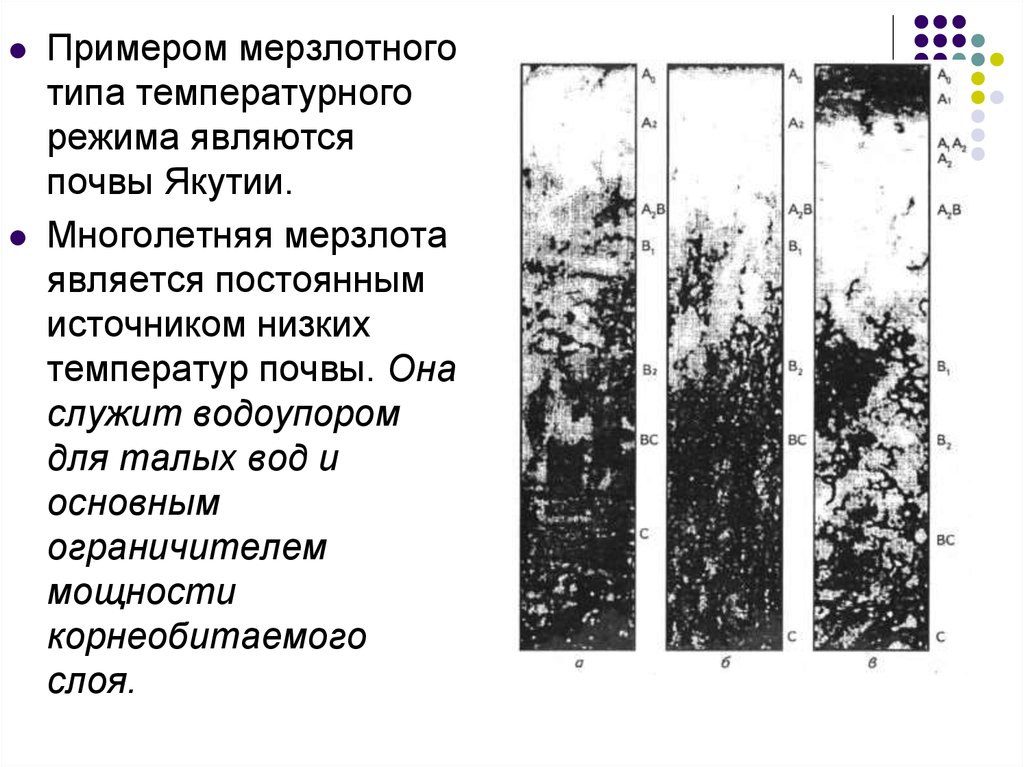 Содержание гумуса в мерзлотно таежных почвах. Типы теплового режима почв. Мерзлотный Тип почв. Тепловой режим почв типы теплового режима почв. Типы почвы в Якутии.