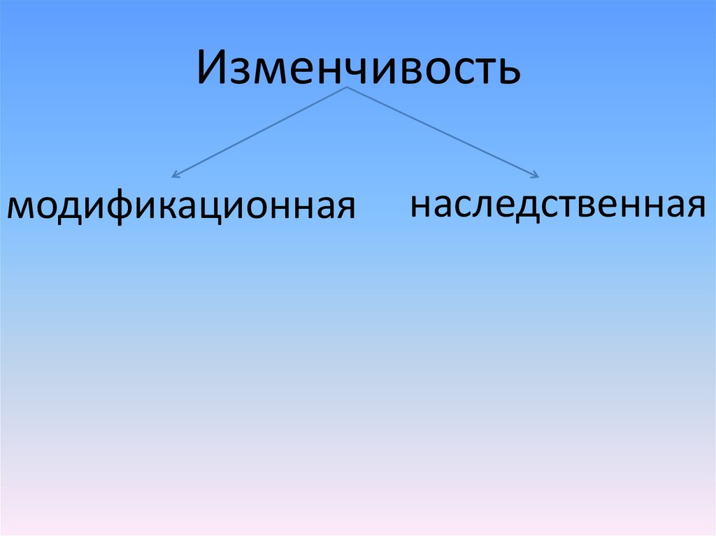 Изменчивость организмов презентация