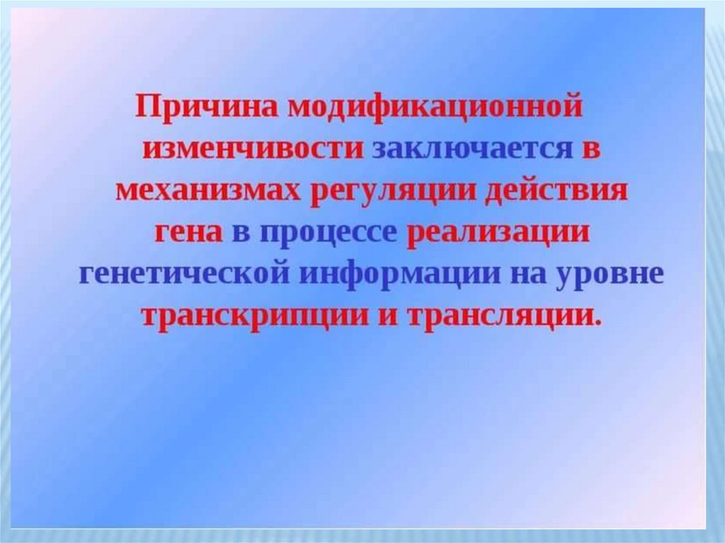 Модификационная изменчивость презентация пименов