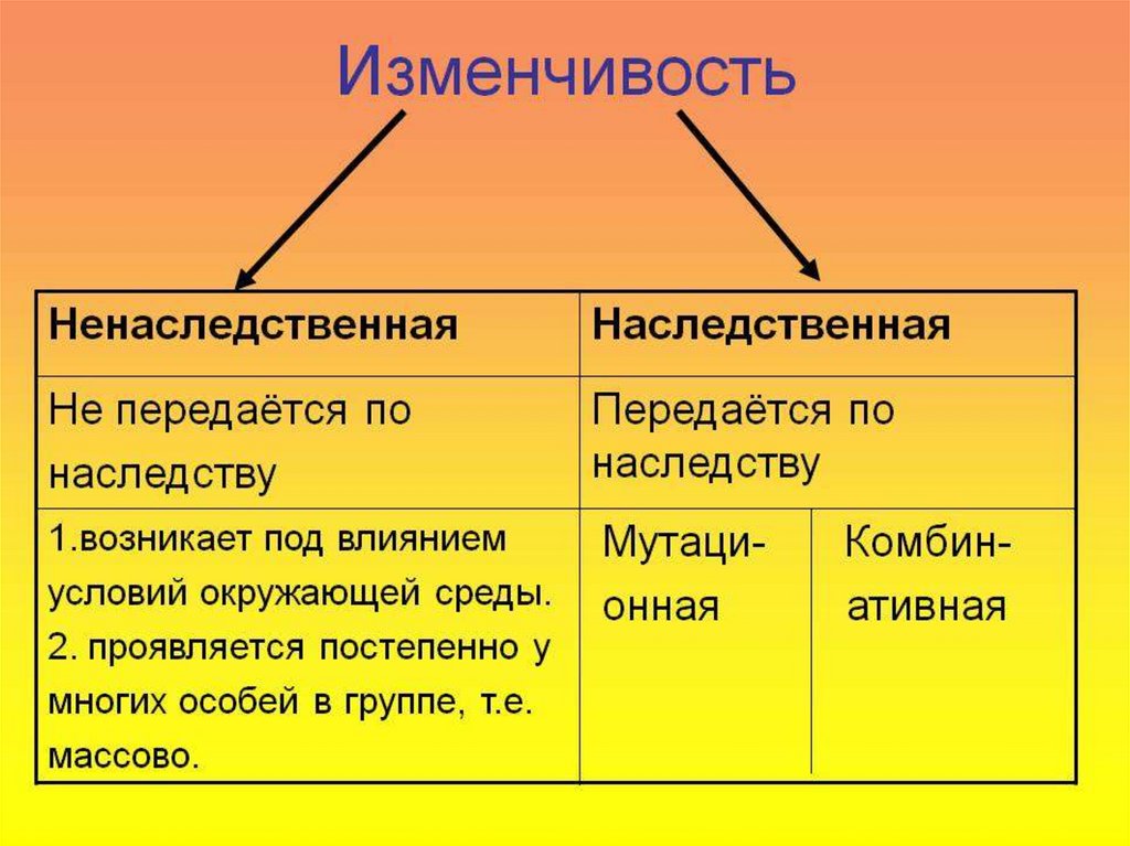 Форма изменчивости не передающаяся по наследству