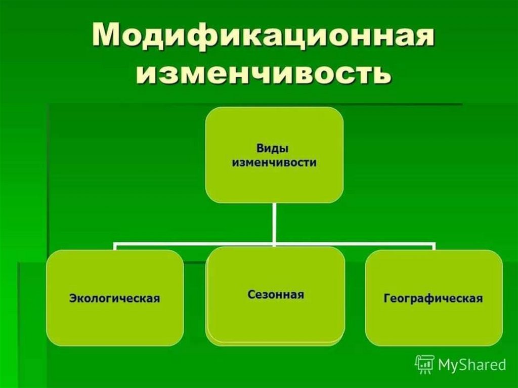 Типы изменчивости. Формы модификационной изменчивости. Наследуемость модификационной изменчивости. Изменчивость виды изменчивости. Разновидности модификационной изменчивости.