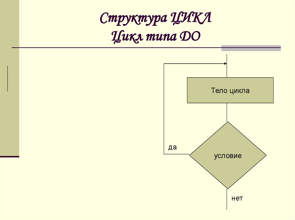 Картинки с выставки строение цикла