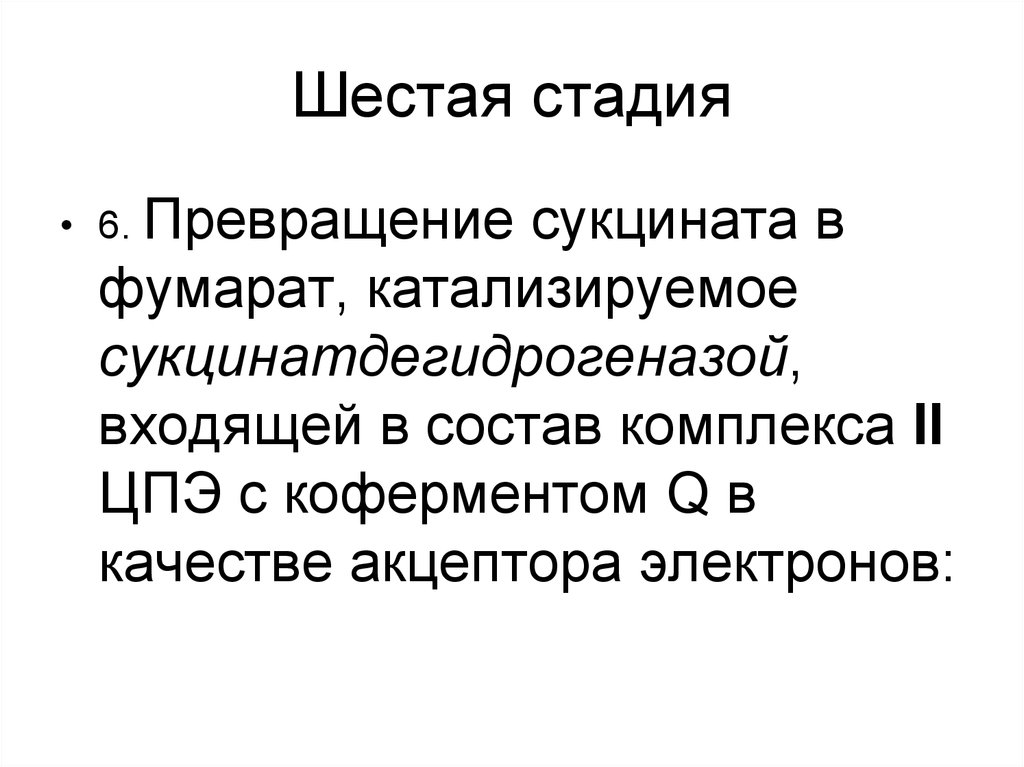 Шестой этап. 6 Стадий. 6 Стадий принятик.