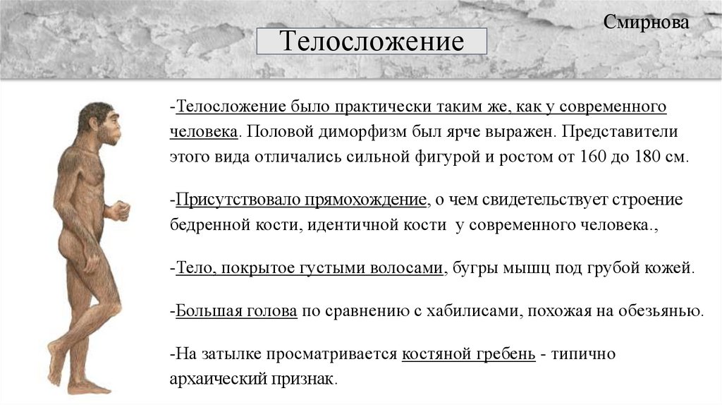 Человек прямоходящий презентация 11 класс