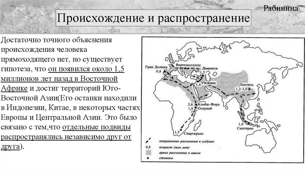 Появление и распространение. Человек прямоходящий ареал обитания. Человек прямоходящий расселение. Схема распространение человека прямоходящего. Расселение человека прямоходящего на карте.