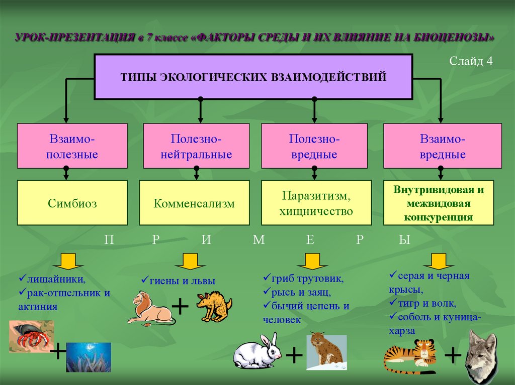 Биология 11 класс би2310401. Факторы среды биология 7 класс. Экология взаимоотношений организмов. Экологические факторы. Экологические взаимосвязи.