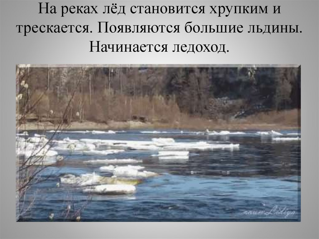 Ледоход лед идет 2 класс русский. Ледоход. Ледоход на реке. Половодье.