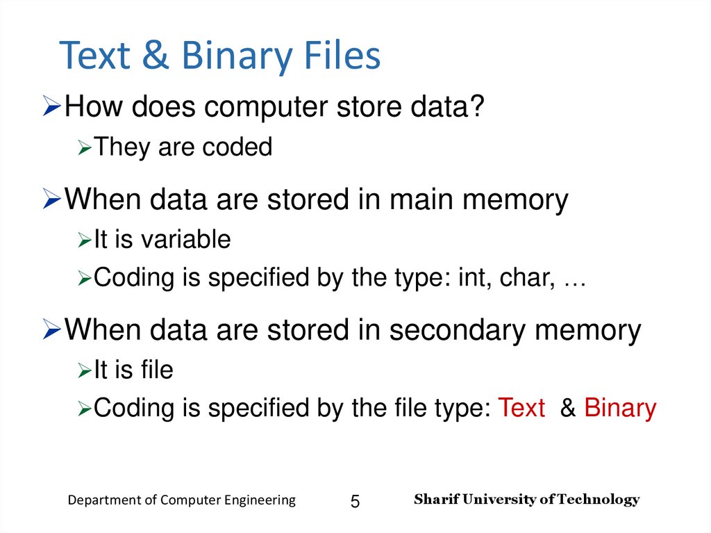 Text & Binary Files