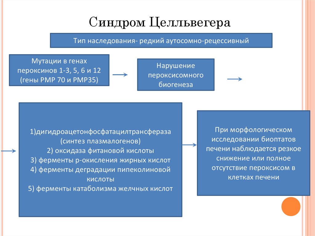 Синдром цельвегера