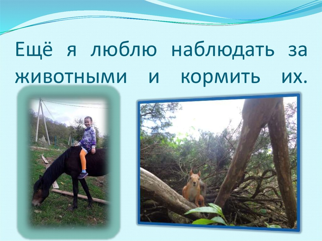Ещё я люблю наблюдать за животными и кормить их.