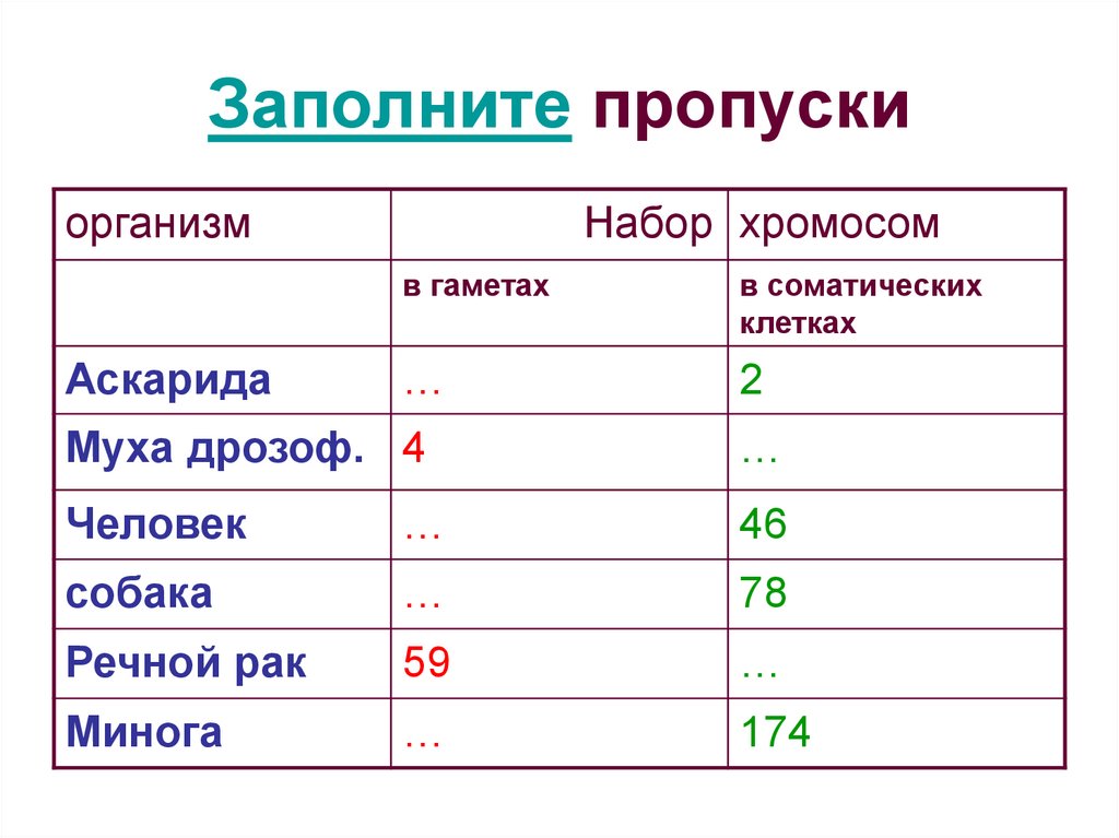 Набор хромосом в гаметах. Наборы хромосом у различных организмов таблица. Наборы хромосом у различных организмов. Количество хромосом таблица. Набор хромосом ху животных таблицага.