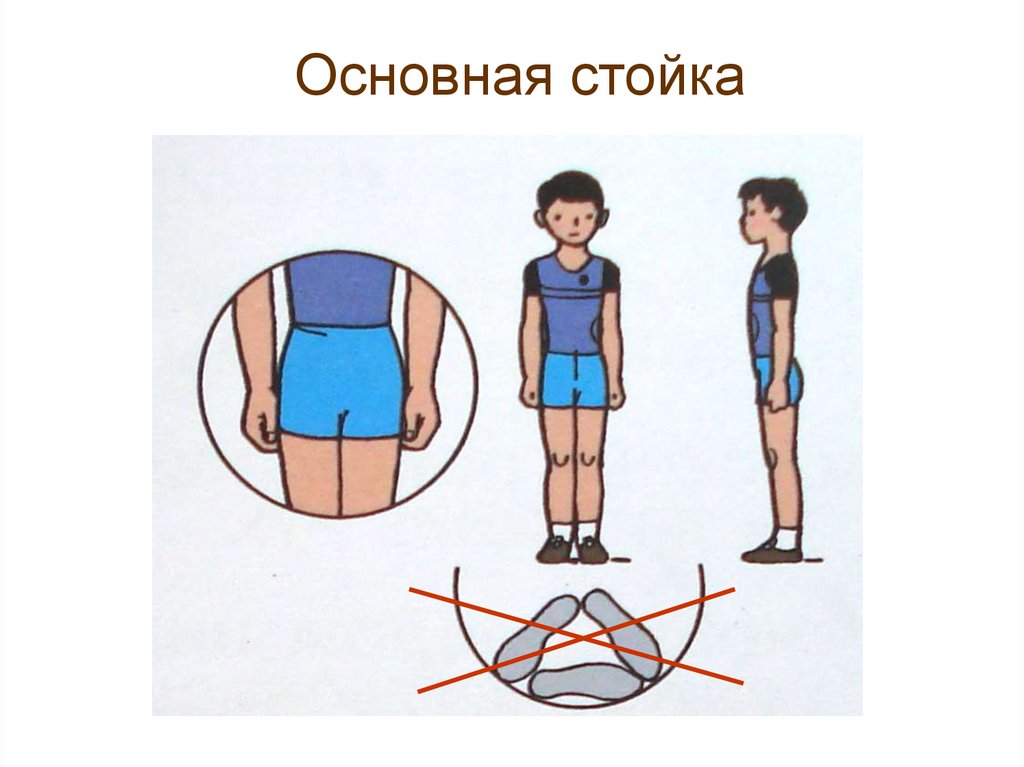 Основная стойка. Основная стойка в физкультуре. Основная стойка в физкультуре в детском саду. Положение основная стойка. Основная стойка упражнения на уроках физкультуры.