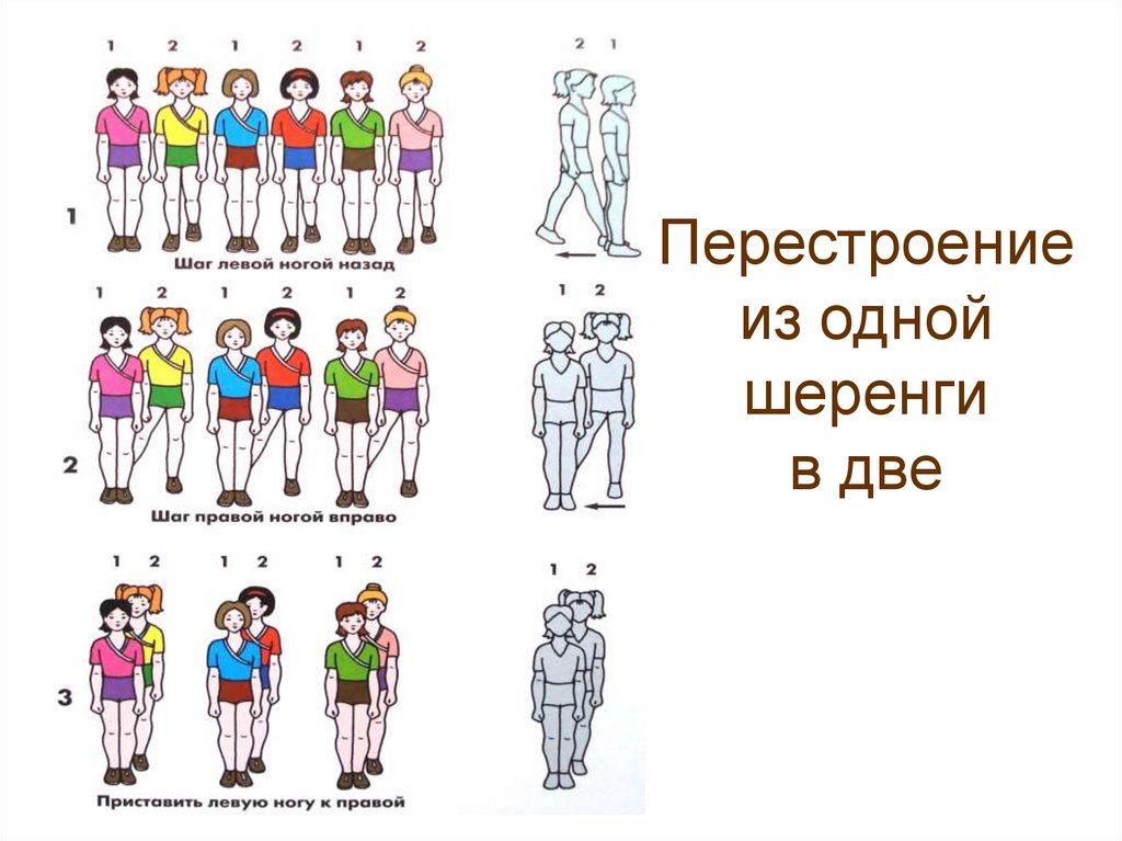 Перестроение из одной шеренги в две схема