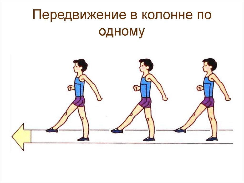 Упражнения в перемещении. Ходьба в колонне по одному. Передвижение в колонне по одному. Передвижения в физкультуре это. Строевые упражнения передвижения.