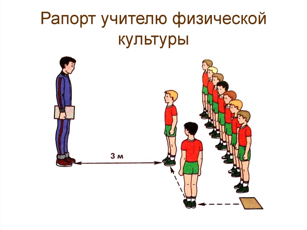 Считай строй. Построение на физкультуре. Построение в одну шеренгу. Построение в школе. Рапорт учителю физры дежурного.