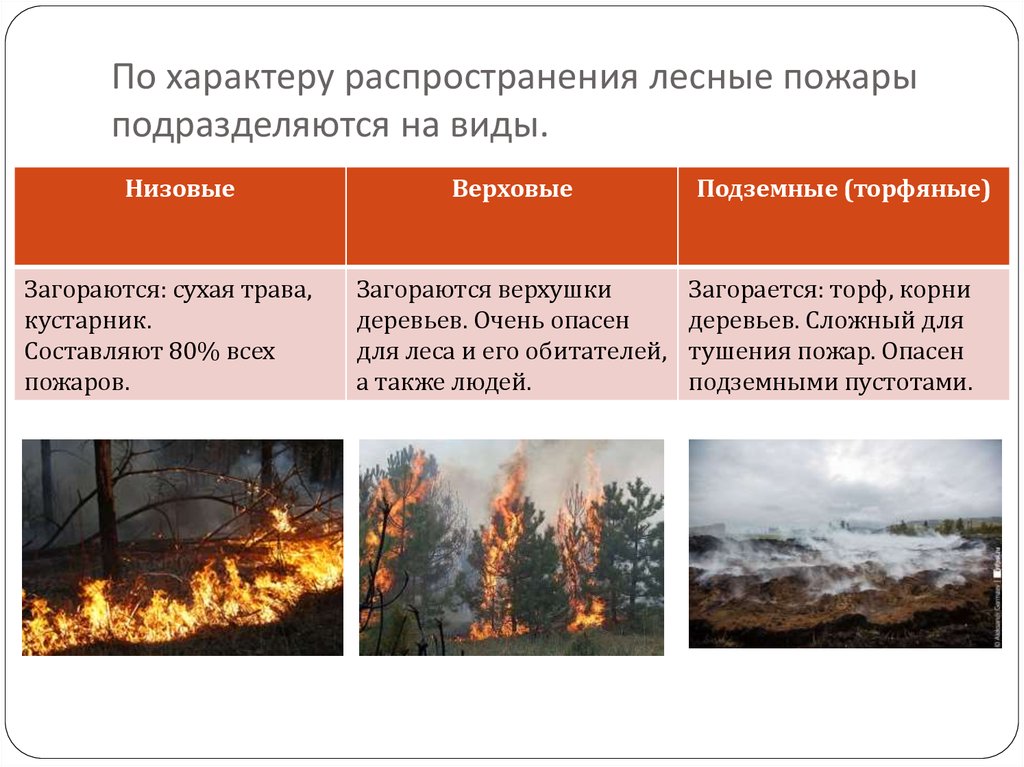 Природные пожары кратко. Виды природных пожаров. Классификация лесных пожаров. Низовые верховые и подземные пожары. Природные пожары подразделяются на.