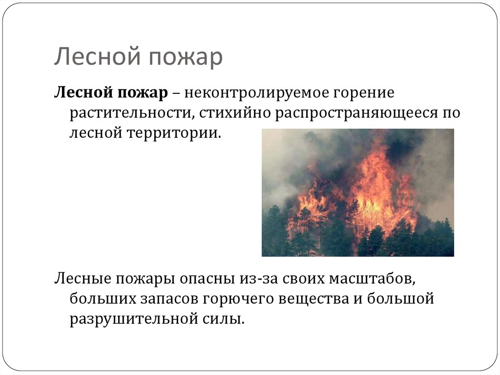 Лесные пожары презентация. Пожар для презентации. Лесной пожар это определение. Критерии природного пожара. Пожар это неконтролируемое горение