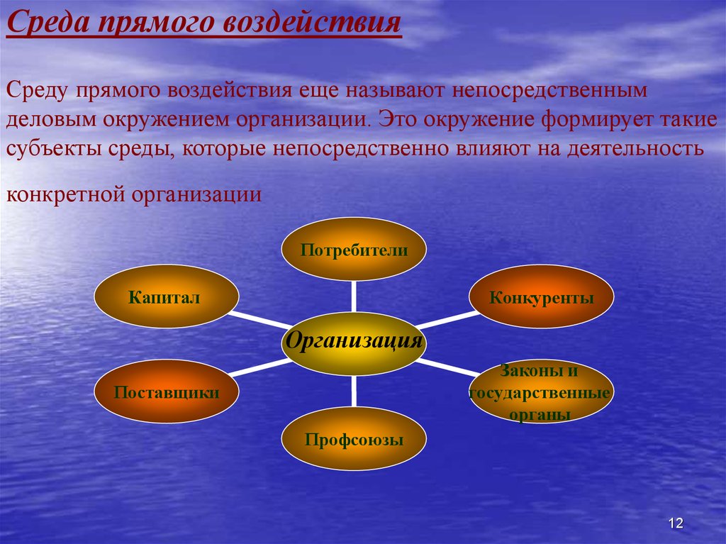 Основное влияние на организацию оказывают