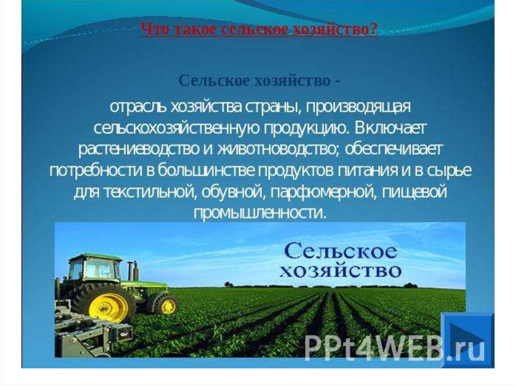 Презентация животноводство ростовской области