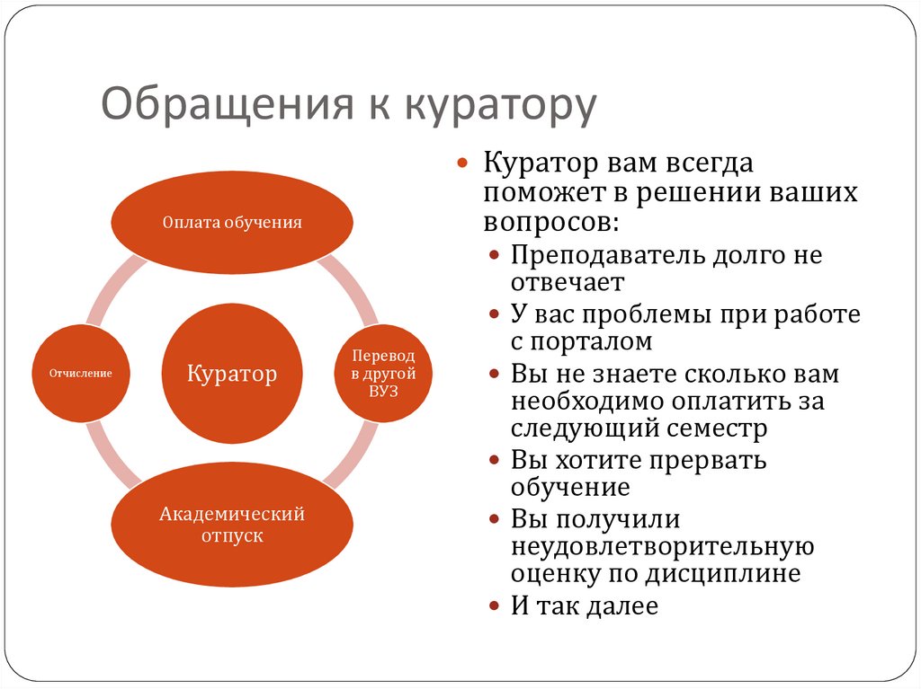 Требования к куратору проекта