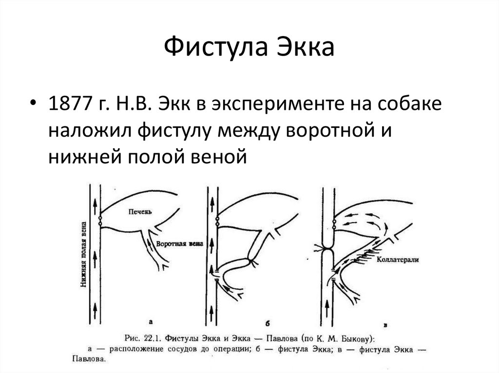 Фистула басова схема