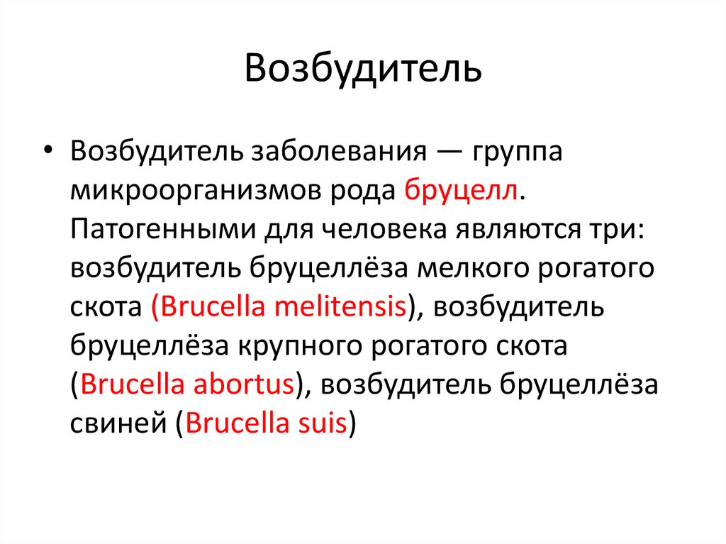 Возбудители бруцеллеза презентация