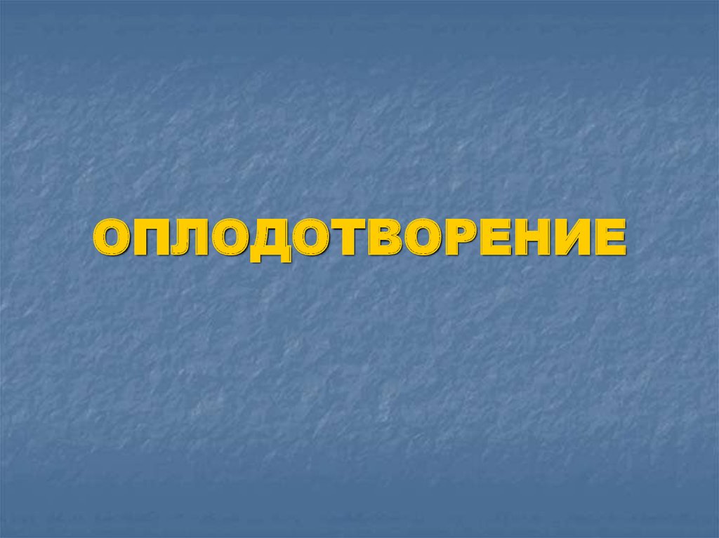 Остров оплодотворения. Оплодотворение презентация. Презентация на тему оплодотворение.