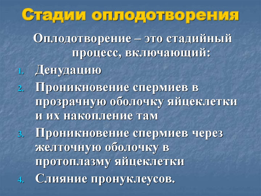 Этапы оплодотворения