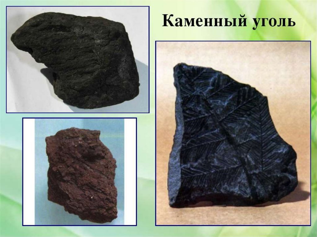 Каменный уголь роль