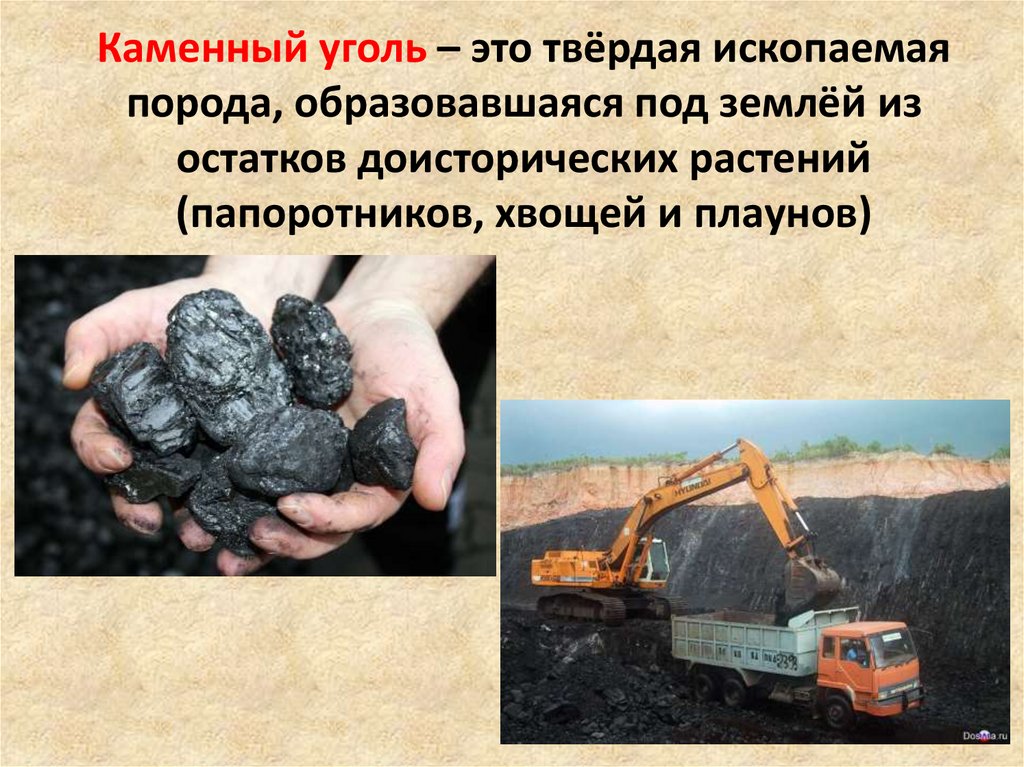 Уголь образовался в результате
