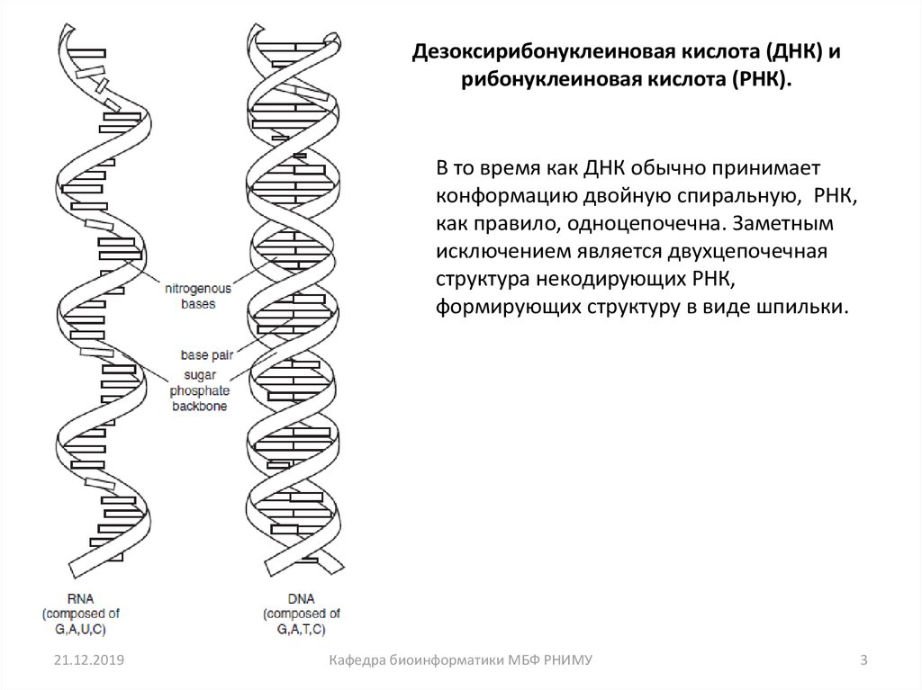 Анализ рнк что это. Анализ экспрессии 11 МИКРОРНК. Серийный анализ генной экспрессии. Диаграмма Экспрессия Гена рецептора VDR В разных тканях. Относительная Экспрессия Гена BCR-ABL p210 норма.