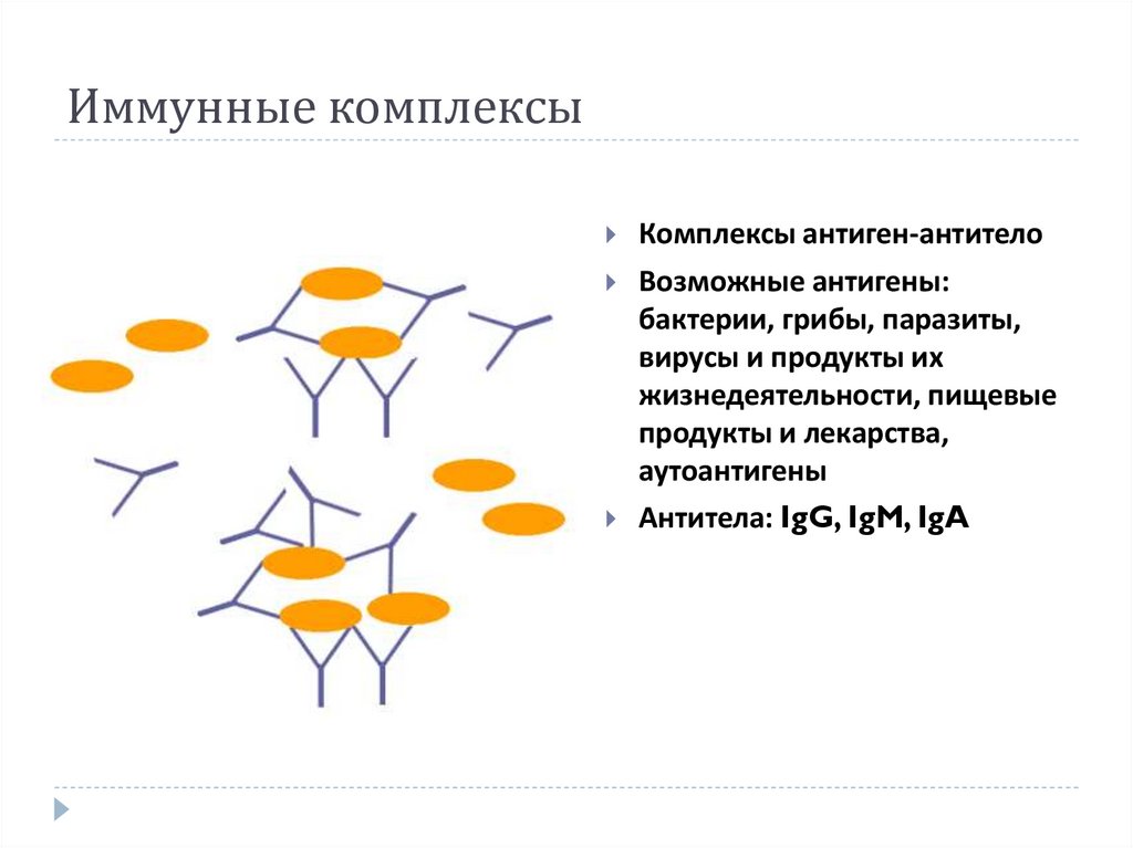 Иммун комплекс. Комплекс антиген—антитело (иммунный комплекс). Образование комплекса антиген-антитело. Образование иммунных комплексов. Рисунок образования комплекса антиген-антитело.