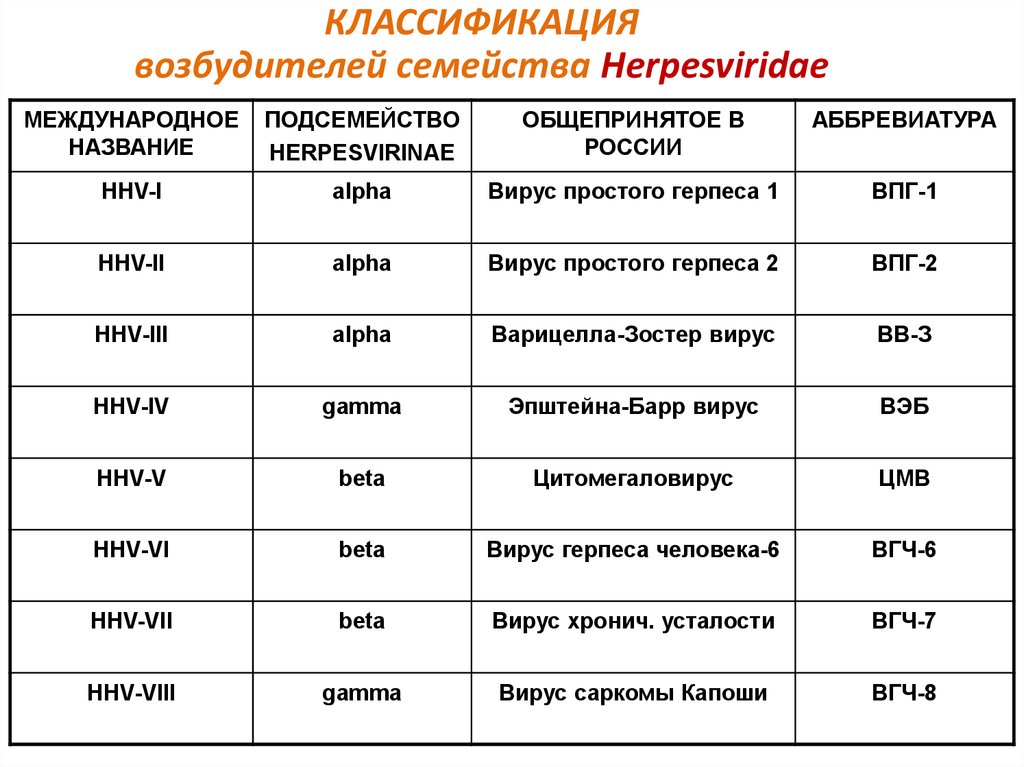 Классификация представителей