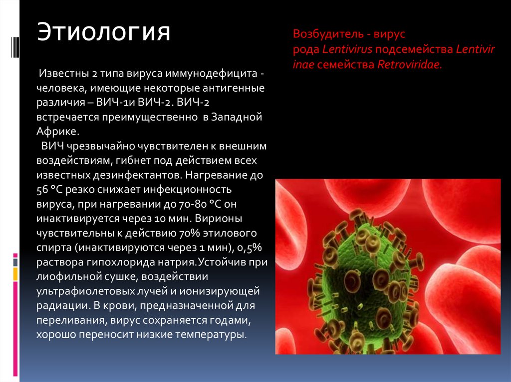 Приобретенные иммунодефициты спид. Этиология заболевания ВИЧ. Вирус иммунодефицита человека. Патогенез СПИДА. Этиология и патогенез ВИЧ инфекции.