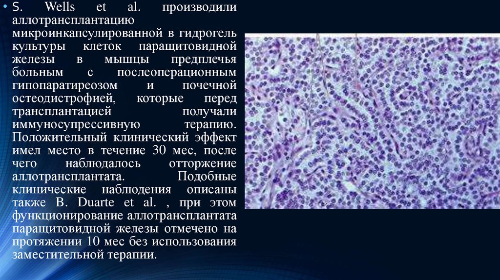 Клеточные технологии презентация