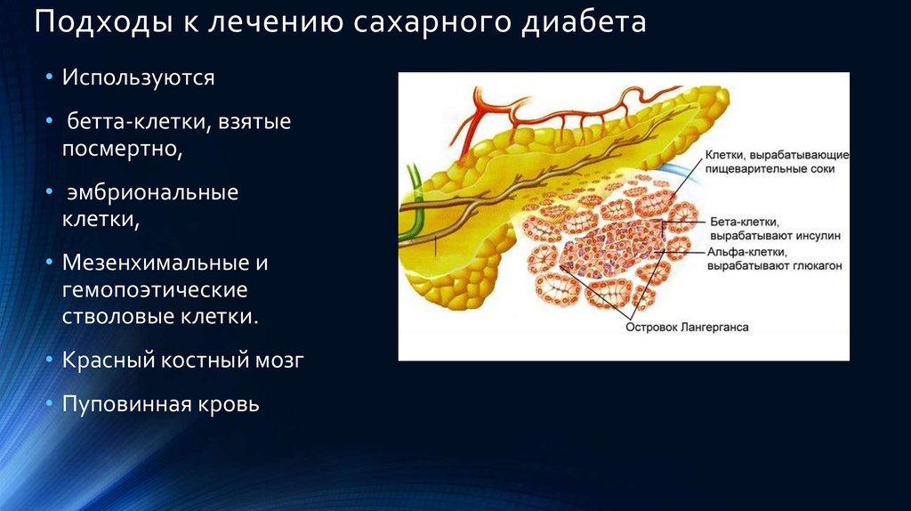 Клеточные технологии презентация