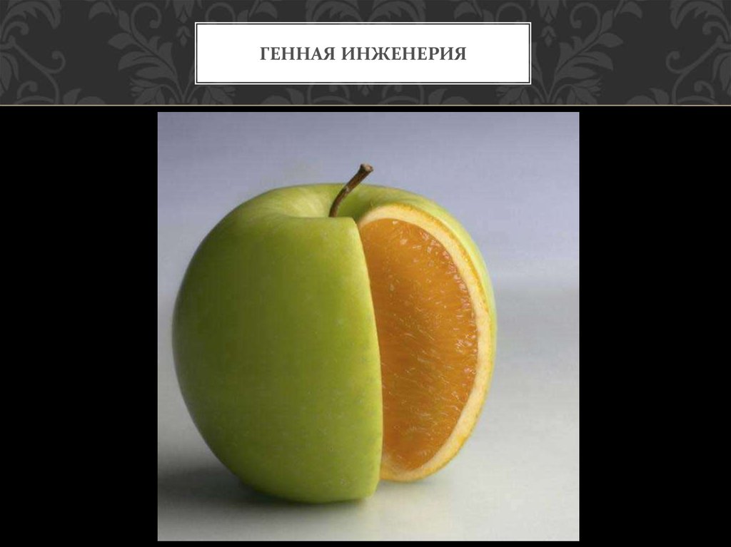 Генная инженерия