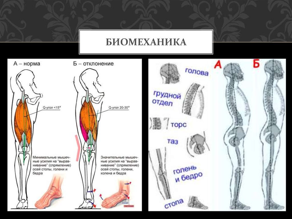 Цели биомеханики